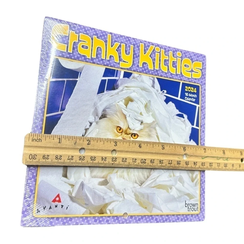 2024 Cranky Kitties 16-Month Calendar (NWT) 😺